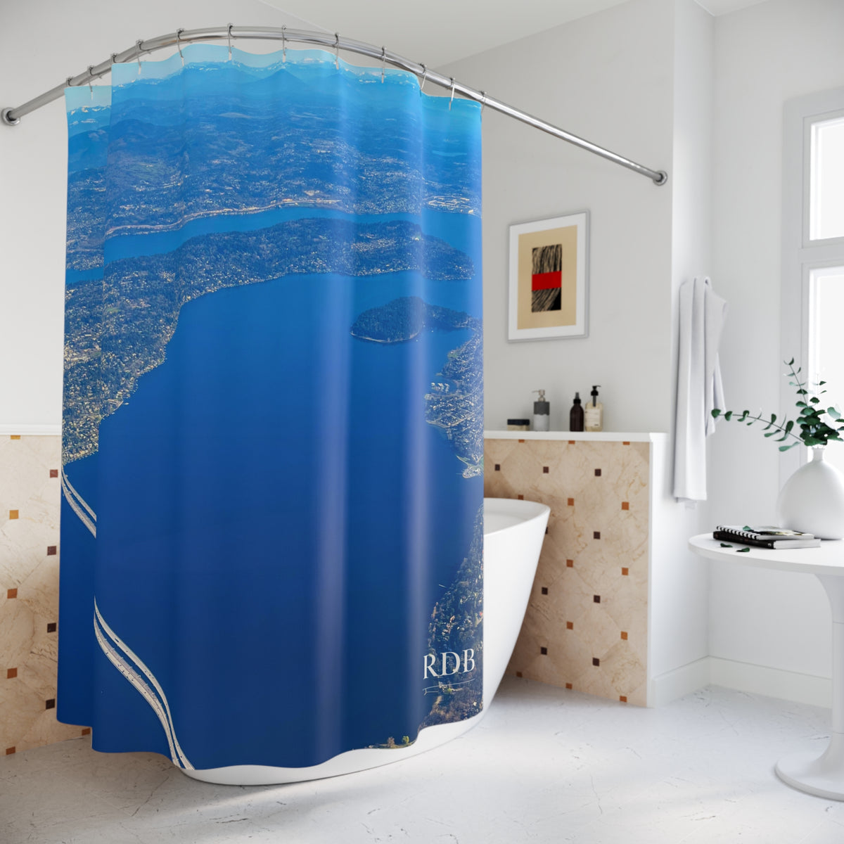 Seattle Aerial View Shower Curtain
