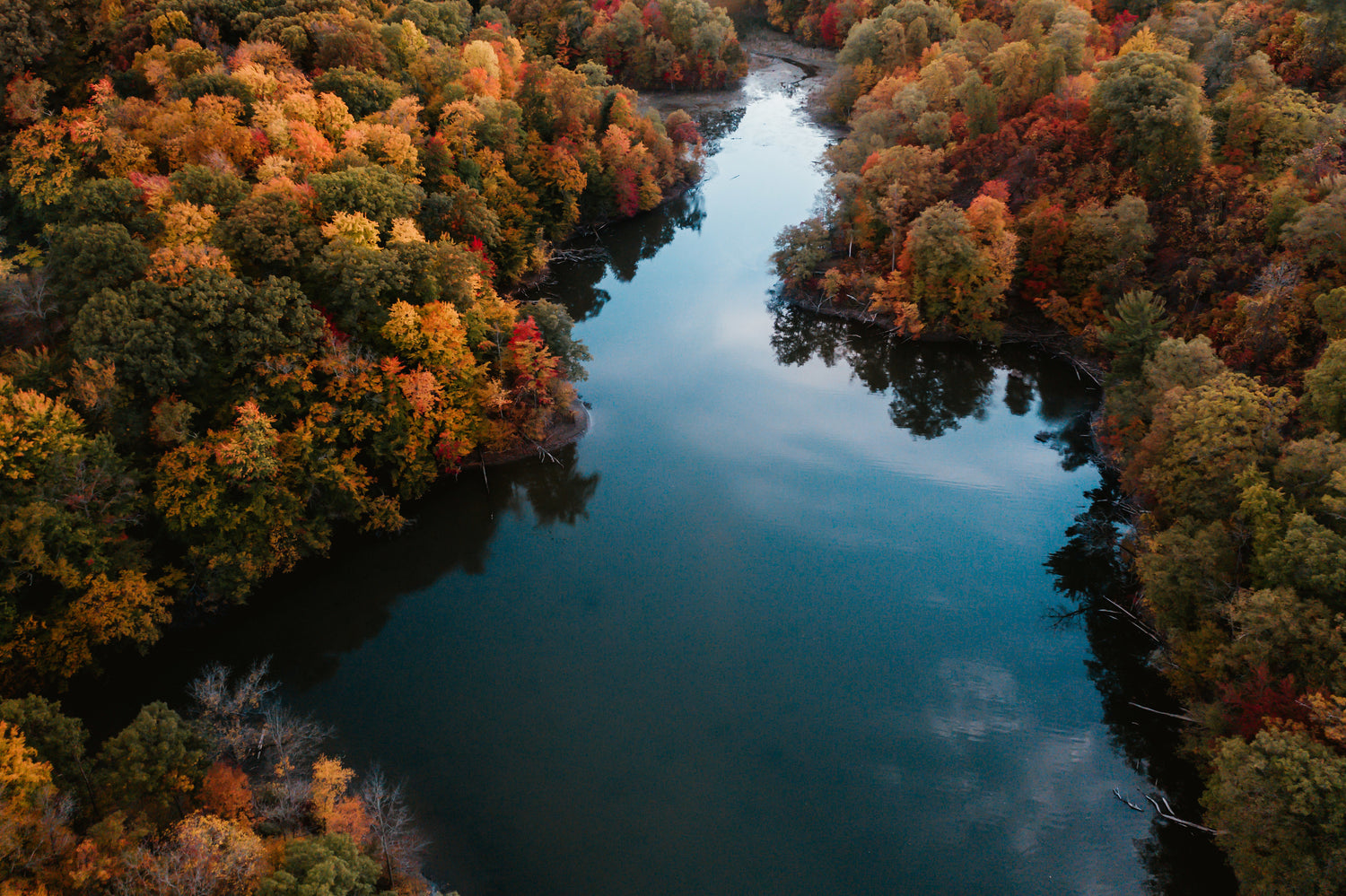 Autumn colored leaves on the maple trees lining a majestic river. A few clouds are mirrored on the water's surface. 